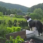 Perle D'o Nature Bien-etre, Proche Du Bord De Meuse Namur Et Dinant Profondeville