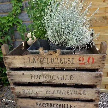 Holiday home Perle D'o Nature Bien-etre, Proche Du Bord De Meuse Namur Et Dinant