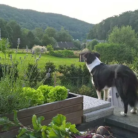 Perle D'o Nature Bien-etre, Proche Du Bord De Meuse Namur Et Dinant Profondeville